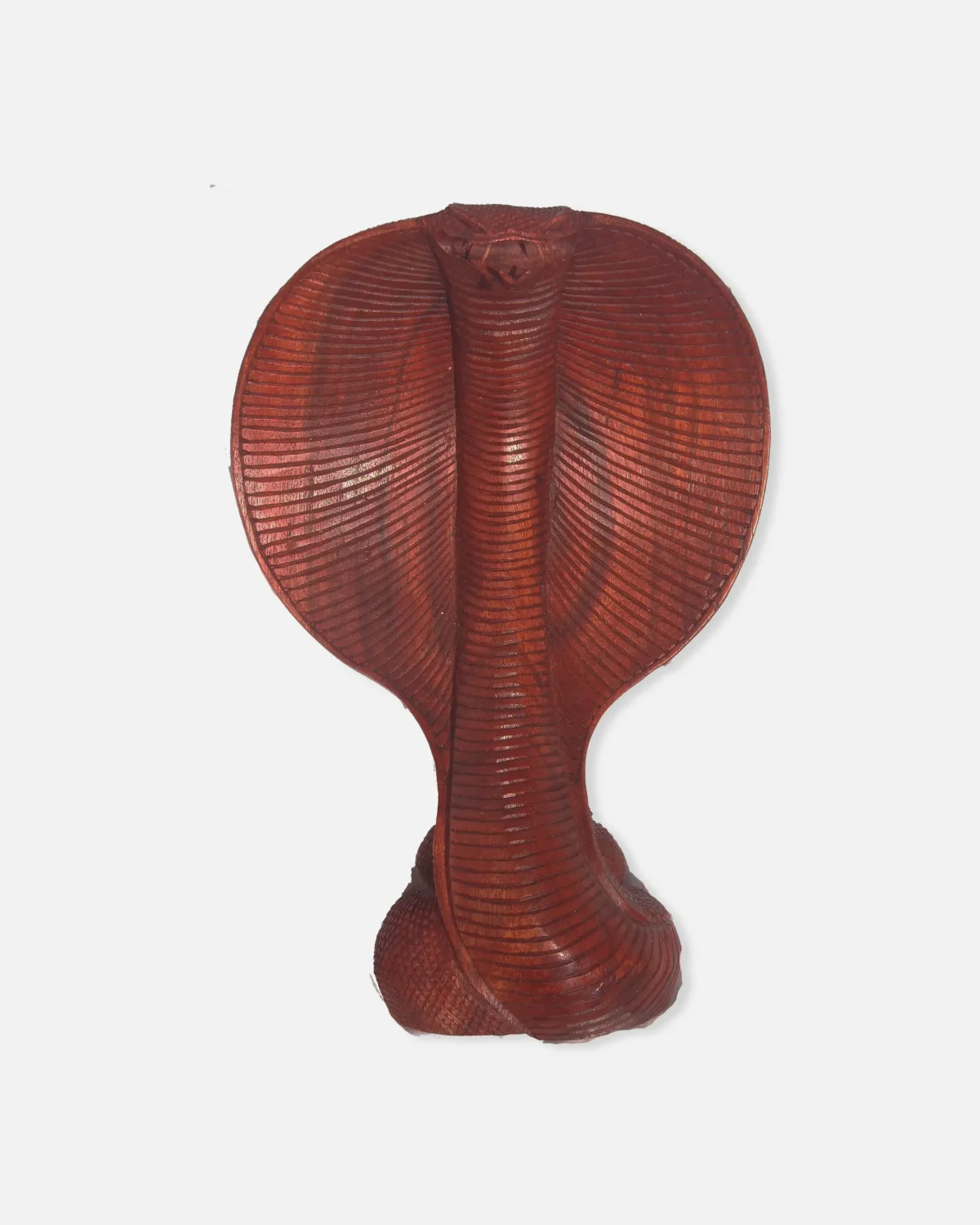 COBRA DE MADERA